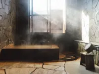 Lodge Atelier - Hot Springs