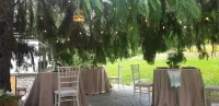 Elexus Boutique Hotels in Azuga
