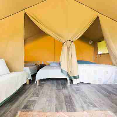 Terre d'Horizon Auvergne Rooms