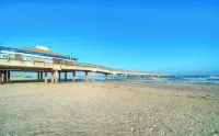 Pura Vida by AvantStay - Ocean View