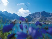 Studio Iris in B Rserberg Hotels in Bürserberg