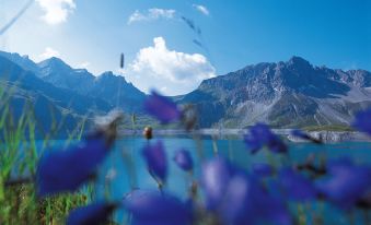 Appartement Iris in B Rserberg