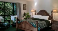 Mountain Sanctuary B&B