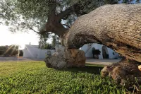Masseria de Michele - Farmhouses