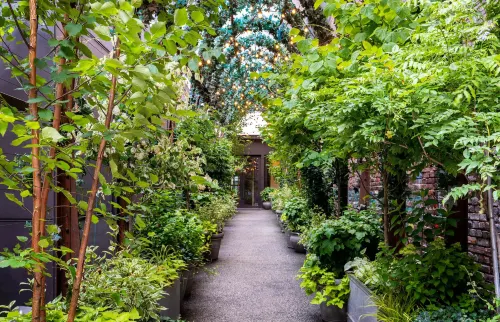 NoMo SoHo Hotels in New York