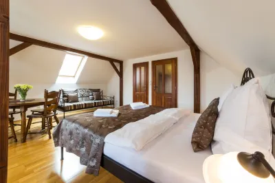 Vila Krumlov Hotels in 