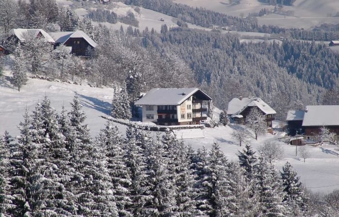 Cozy Apartment in Afritz am See Near Gerlitzen Ski Area