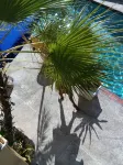 The Chancellor Hotel - Pools