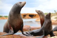 Hex Wildlife Hotel at Yorkshire Wildlife Park Hotels in Bawtry