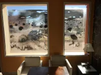 Hostal Rural Los Girasoles de Iniesta Hotels in La Mancha