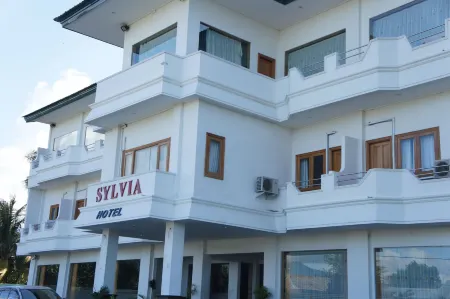 Sylvia Hotel Maumere Отели в г. Sikka Regency