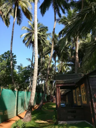 The Cool Huts Отели в г. Мандрем