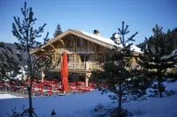 Le Lodge Chasse Montagne Hotels in Les Gets