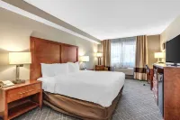 Comfort Inn Denver West Arvada Station Hotels in Wheat Ridge