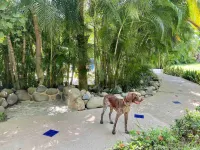 Villa Palomas A Unos Pasos de Playa la Ropa Các khách sạn ở 
