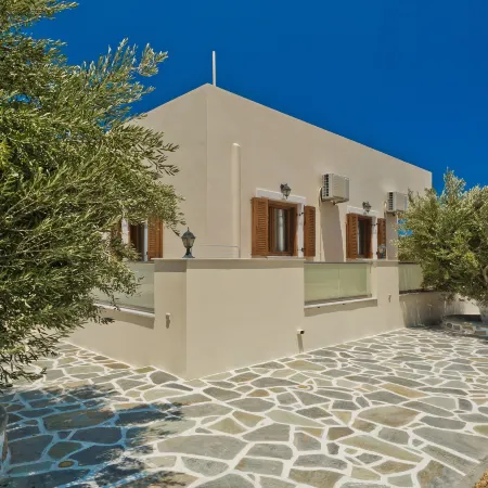 Olive Studios