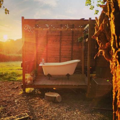 Garden Gorgeous Horsebox at Glamp in Style in East Sussex Photo
