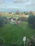 Green Apple Bed and Breakfast Hotels near Porthminster Beach