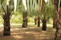 SheoBill Safari Lodge Hotels in Fort Portal