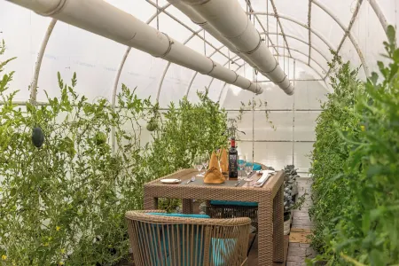 Bolagala Agro Floating Resort Отели в г. Gampaha