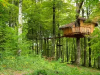 L'Arbre à Cabane Các khách sạn ở Bourbonne-les-Bains
