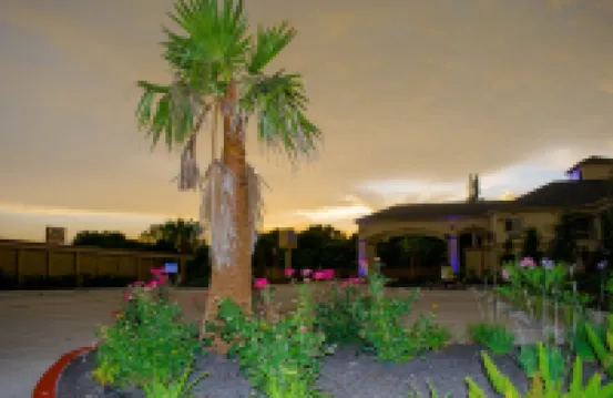Motel 6 Houston, TX - Willowbrook Mall Hotels near Willowbrook