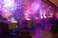Renaissance Caracas la Castellana Hotel - bar