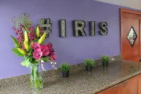 Hotel Iris - Mission Valley-San Diego Zoo-SeaWorld