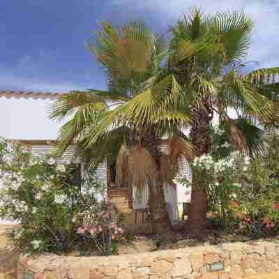 Es Pas Formentera Agroturismo Hotel Exterior