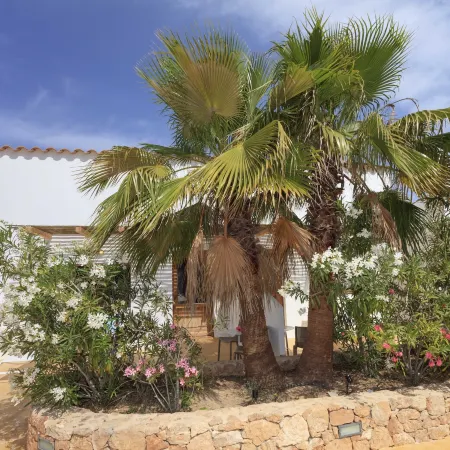 Es Pas Formentera Agroturismo
