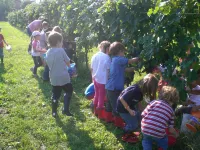 Agriturismo Giorgio Colutta Hotels in Buttrio