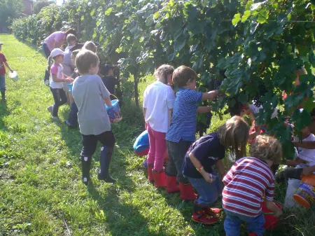 Agriturismo Giorgio Colutta Отели в г. Манцано