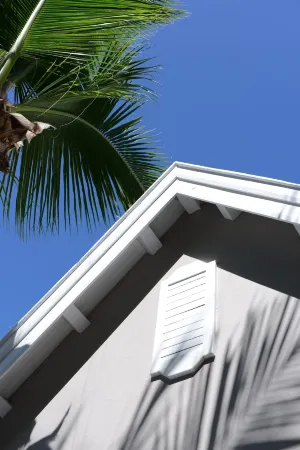 Tropical Attitude,