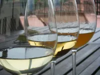 Agriturismo Grillo Iole Winery