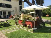 Casale Olea Hotels in Massarosa