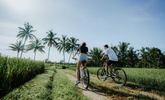 Dukuh Sebatu Resort & Villa
