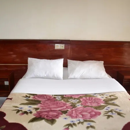 Hotel le Diplomate