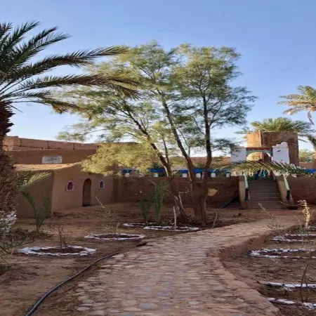 M'Hamid Desert Camp Tours