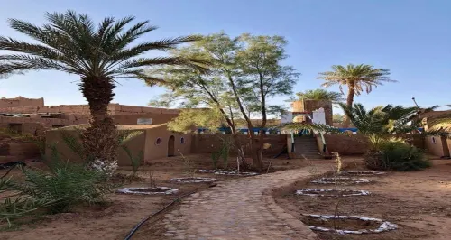 M'Hamid Desert Camp Tours Hotels in Mhamid