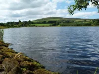 Dunamoy Cottages & Spa Hotels in Ballyclare