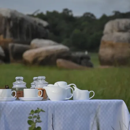 Explorer by Eco Team - Maduru Oya National Park
