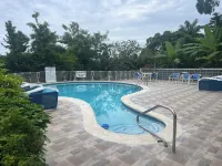 Palm View Guesthouse and Conference Centre - piscina