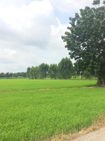 รูปภาพของท้ายบ้าน รีสอร์ท