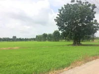 ท้ายบ้าน รีสอร์ท - 3 ดาว