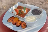 Hotel Maya Jade - Pet Friendly