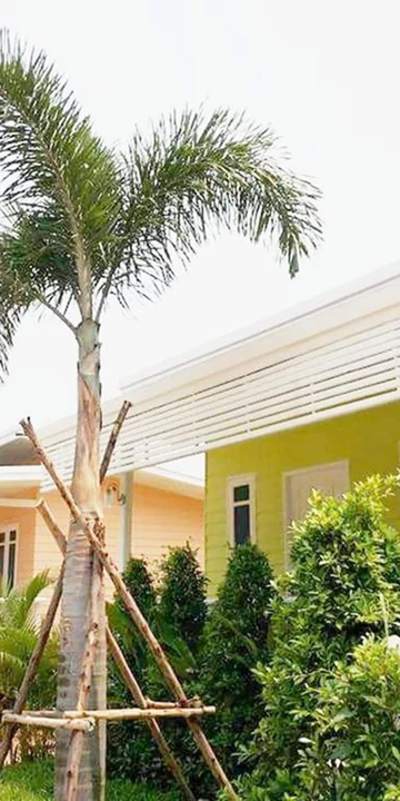 รูปภาพของสุพรรณวันวาน รีสอร์ท&เลสเตอร์ลอง