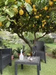 L'Abete Hotels in Province of Medio Campidano