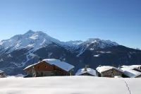 Authentic CHALET 15 people "LA BERGERIE" - La Rosière 1850 Hotels in Montvalezan