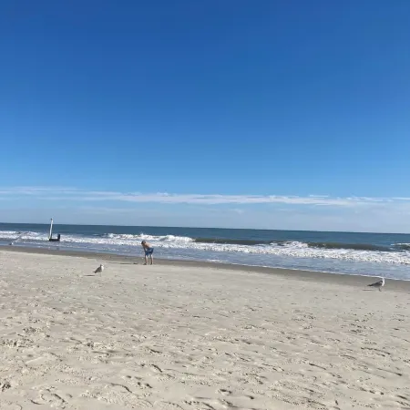 SPACIOUS & PERFECT PLACE TO VACATION AT THE BEACH!