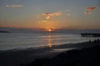 Ocean Inn & Suites - Beach